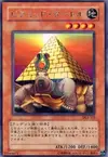Product image for Pyramid Turtle