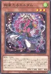 Product image for Radiant Typhoon Eldam