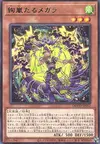 Product image for Radiant Typhoon Meghala