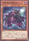 Product image for Twilight Rose Black Knight