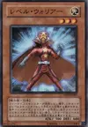Product image for Level Warrior