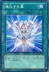 Product image for Transcendent Wings