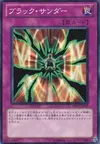 Product image for Black Thunder
