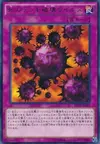 Product image for Virus Broyeur de Carte