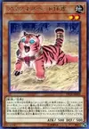 Product image for Amazoness Baby Tiger