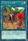 Product image for Amazoness Village