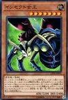 Product image for Reine Insecte