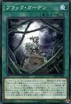 Product image for Black Garden