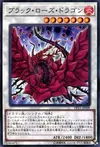 Product image for Black Rose Dragon