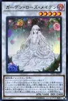 Product image for Garden Rose Maiden