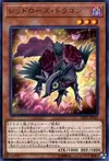 Product image for Red Rose Dragon