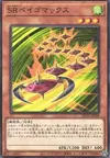 Product image for Speedroid Terrortop