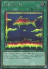 Product image for Fish Sonar