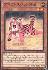 Product image for Bébé Tigre Amazonesse