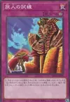 Product image for Ordeal of a Traveler