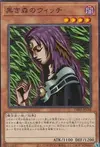 Product image for Witch of the Black Forest
