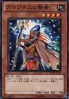 Product image for Amazoness Sage