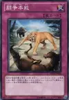 Product image for Battle Instinct