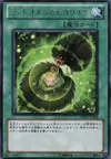 Product image for Landoise's Luminous Moss