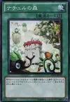 Product image for Naturia Forest