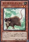 Product image for Playful Possum