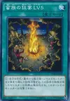 Product image for Feast of the Wild LV5