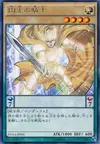 Product image for Flash Knight