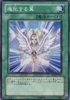 Product image for Transcendent Wings