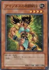 Product image for Amazoness Fighter