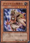 Product image for Paladin Amazonesse