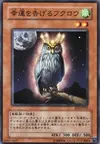 Product image for An Owl of Luck