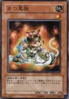 Product image for Cat's Ear Tribe