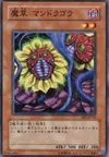 Product image for Mandragore
