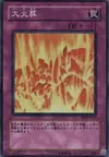 Product image for Big Burn