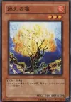 Product image for Burning Algae