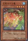 Product image for Gora Turtle of Illusion