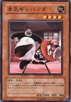 Product image for Maji-Gire Panda