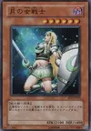 Product image for Penumbral Soldier Lady