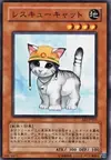 Product image for Rescue Cat