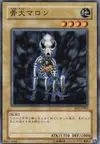 Product image for Skull Dog Marron