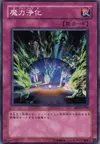 Product image for Spell Purification