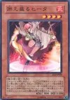 Product image for Blazing Hiita