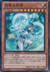 Product image for White Dragon Ninja