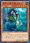 Product image for Sylvan Bladefender
