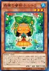 Product image for Sylvan Mikorange