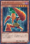 Product image for World Carrotweight Champion