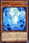 Product image for Ghost Bird of Bewitchment