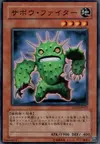 Product image for Cactus Fighter