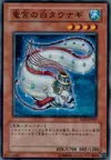 Product image for Royal Swamp Eel