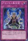 Product image for Amazoness Shamanism
